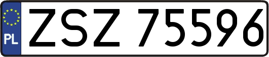 ZSZ75596