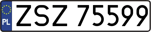 ZSZ75599