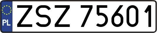 ZSZ75601