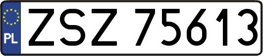 ZSZ75613