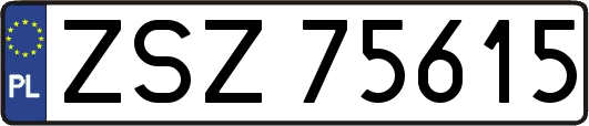 ZSZ75615