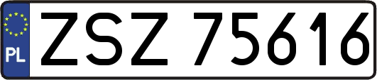 ZSZ75616