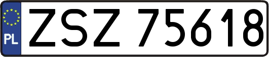 ZSZ75618