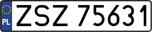 ZSZ75631