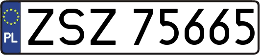 ZSZ75665