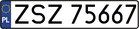ZSZ75667
