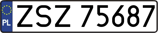 ZSZ75687