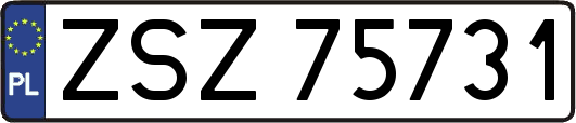 ZSZ75731