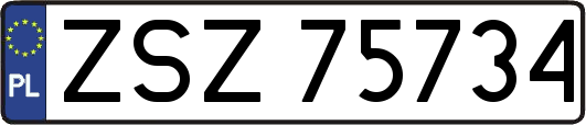 ZSZ75734