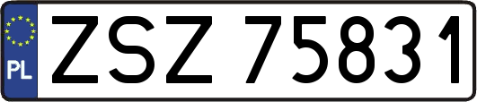 ZSZ75831