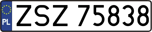 ZSZ75838