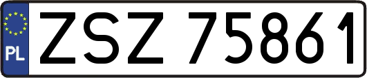 ZSZ75861