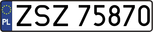 ZSZ75870