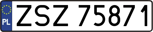 ZSZ75871