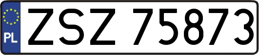 ZSZ75873