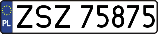 ZSZ75875