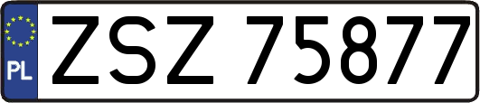 ZSZ75877