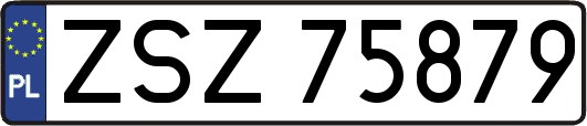 ZSZ75879