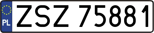 ZSZ75881