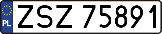 ZSZ75891