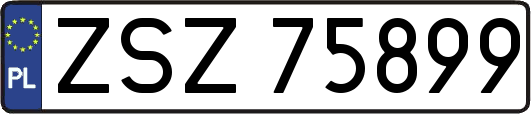 ZSZ75899