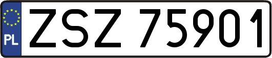 ZSZ75901