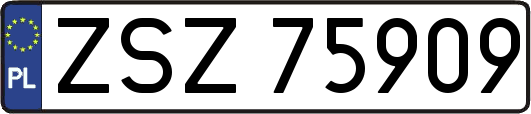 ZSZ75909