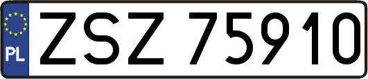 ZSZ75910