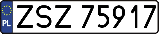 ZSZ75917