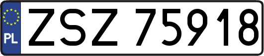 ZSZ75918