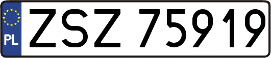 ZSZ75919