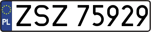 ZSZ75929