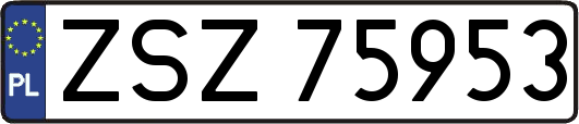 ZSZ75953