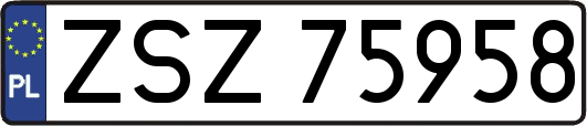 ZSZ75958