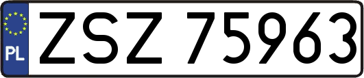 ZSZ75963