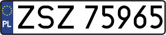 ZSZ75965
