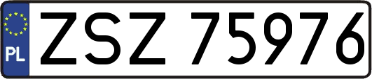 ZSZ75976