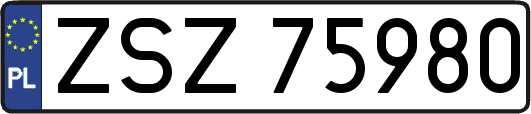 ZSZ75980