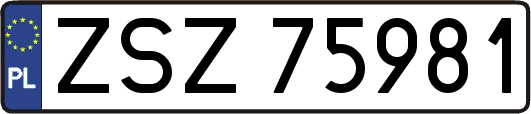 ZSZ75981