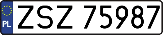 ZSZ75987
