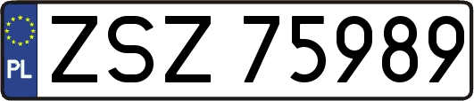 ZSZ75989