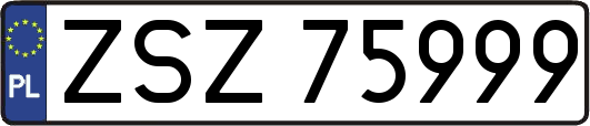 ZSZ75999