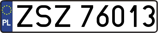 ZSZ76013