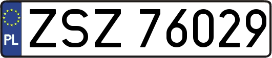 ZSZ76029