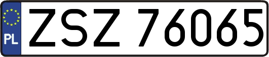ZSZ76065