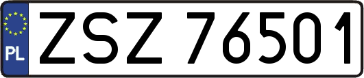 ZSZ76501