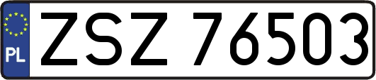 ZSZ76503