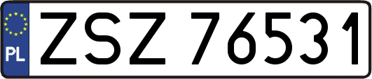 ZSZ76531
