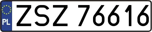 ZSZ76616