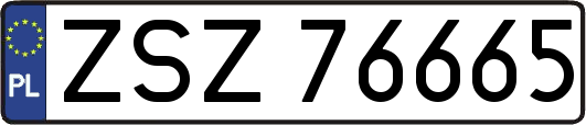ZSZ76665